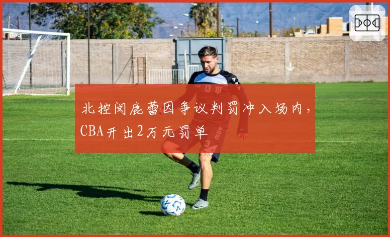北控闵鹿蕾因争议判罚冲入场内，CBA开出2万元罚单