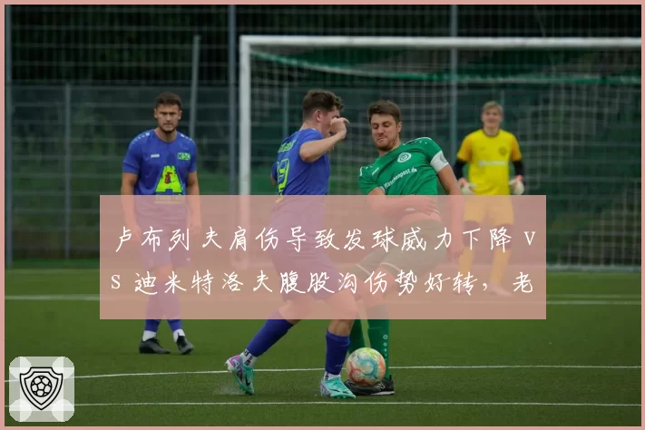 卢布列夫肩伤导致发球威力下降 vs 迪米特洛夫腹股沟伤势好转，老将与中生代伤病影响程度截然不同
