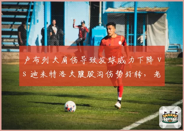 卢布列夫肩伤导致发球威力下降 vs 迪米特洛夫腹股沟伤势好转，老将与中生代伤病影响程度截然不同