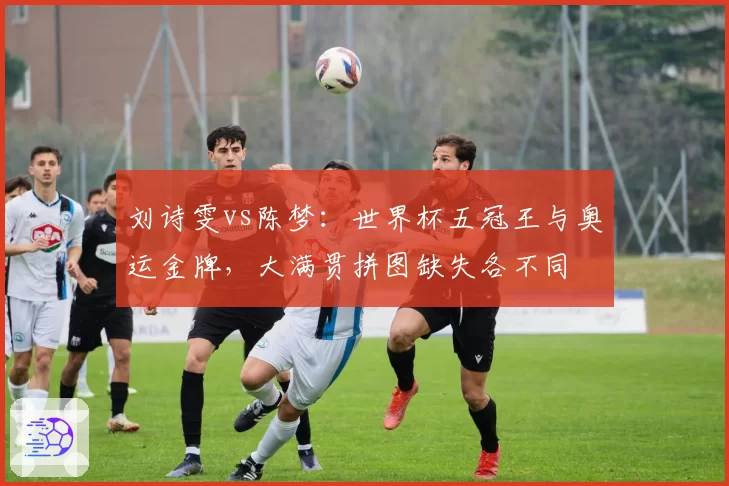 刘诗雯vs陈梦：世界杯五冠王与奥运金牌，大满贯拼图缺失各不同
